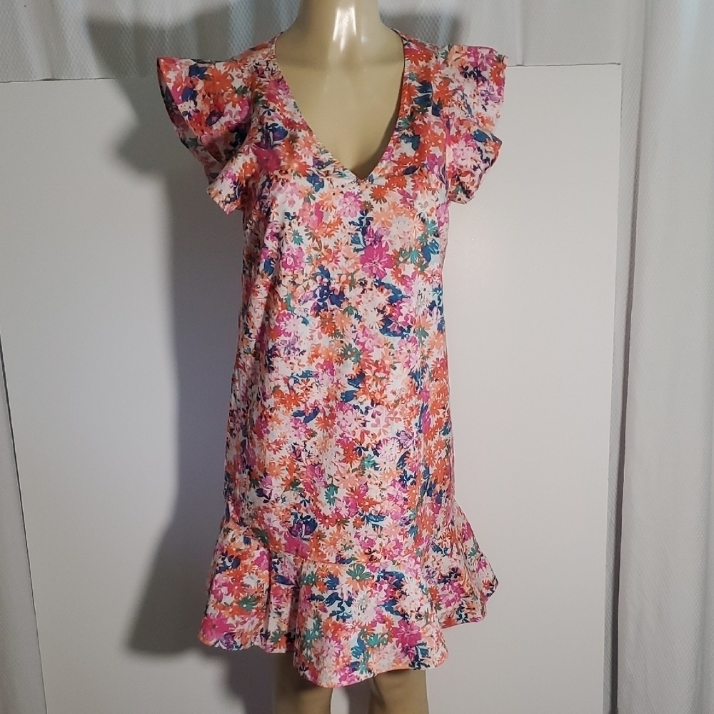 J. Crew Mercantile Women's Drop Waist Floral V Neck Flutter Sleeve Dress Size 8
